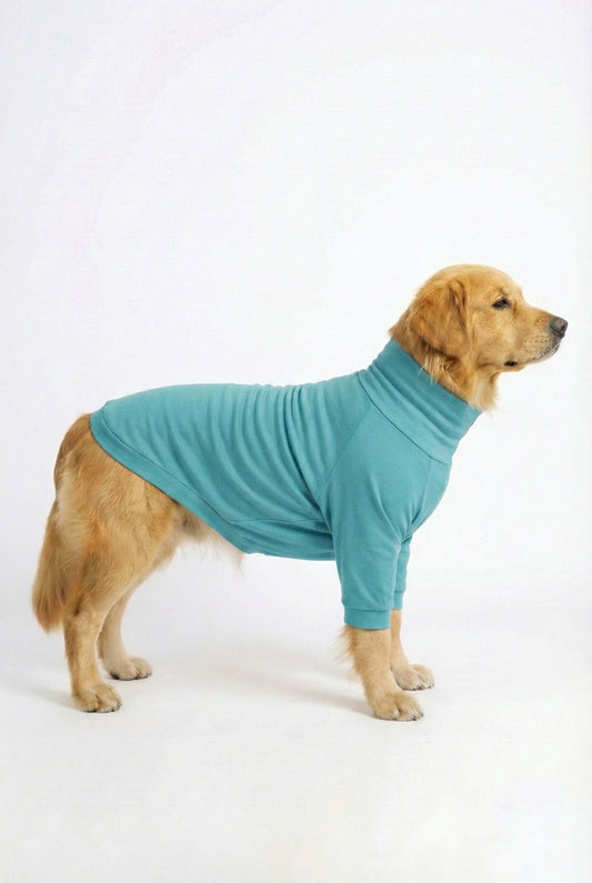 Icy Aqua Long Neck T-shirt for Dogs and Cats