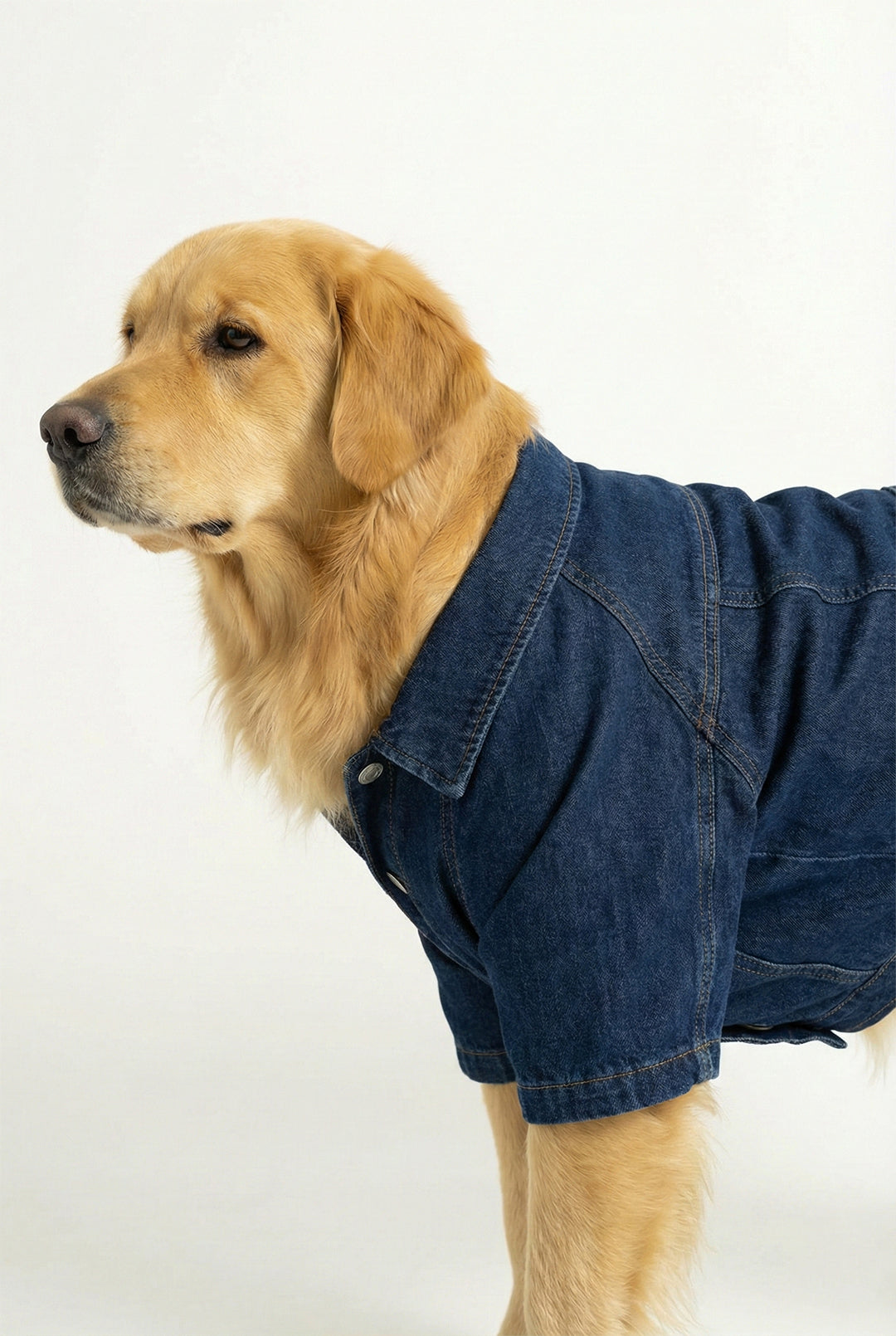 Denim Utility Jacket With Back Pocket