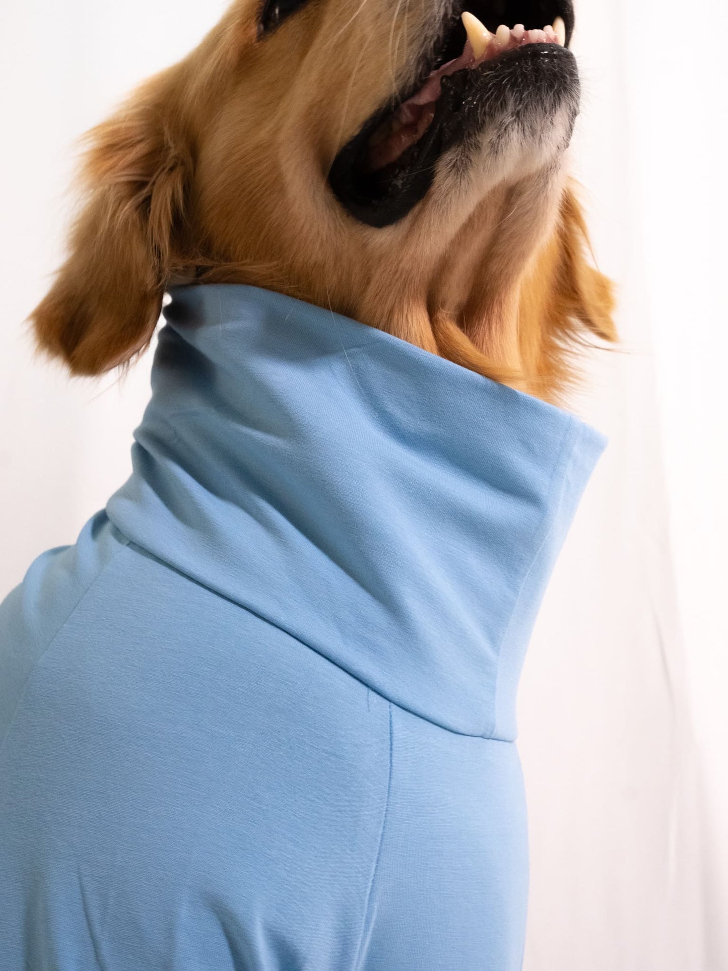 Lagoon Blue Turtleneck T-shirt