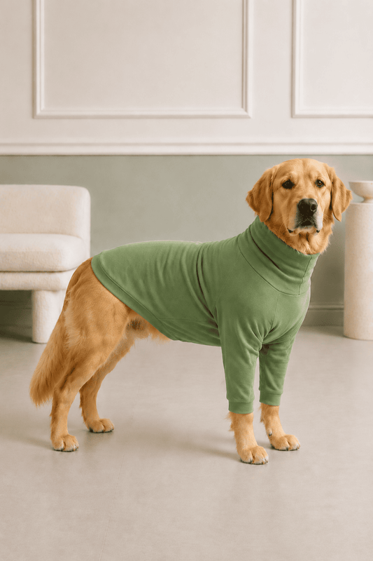 Meadow Green Long Neck T-shirt