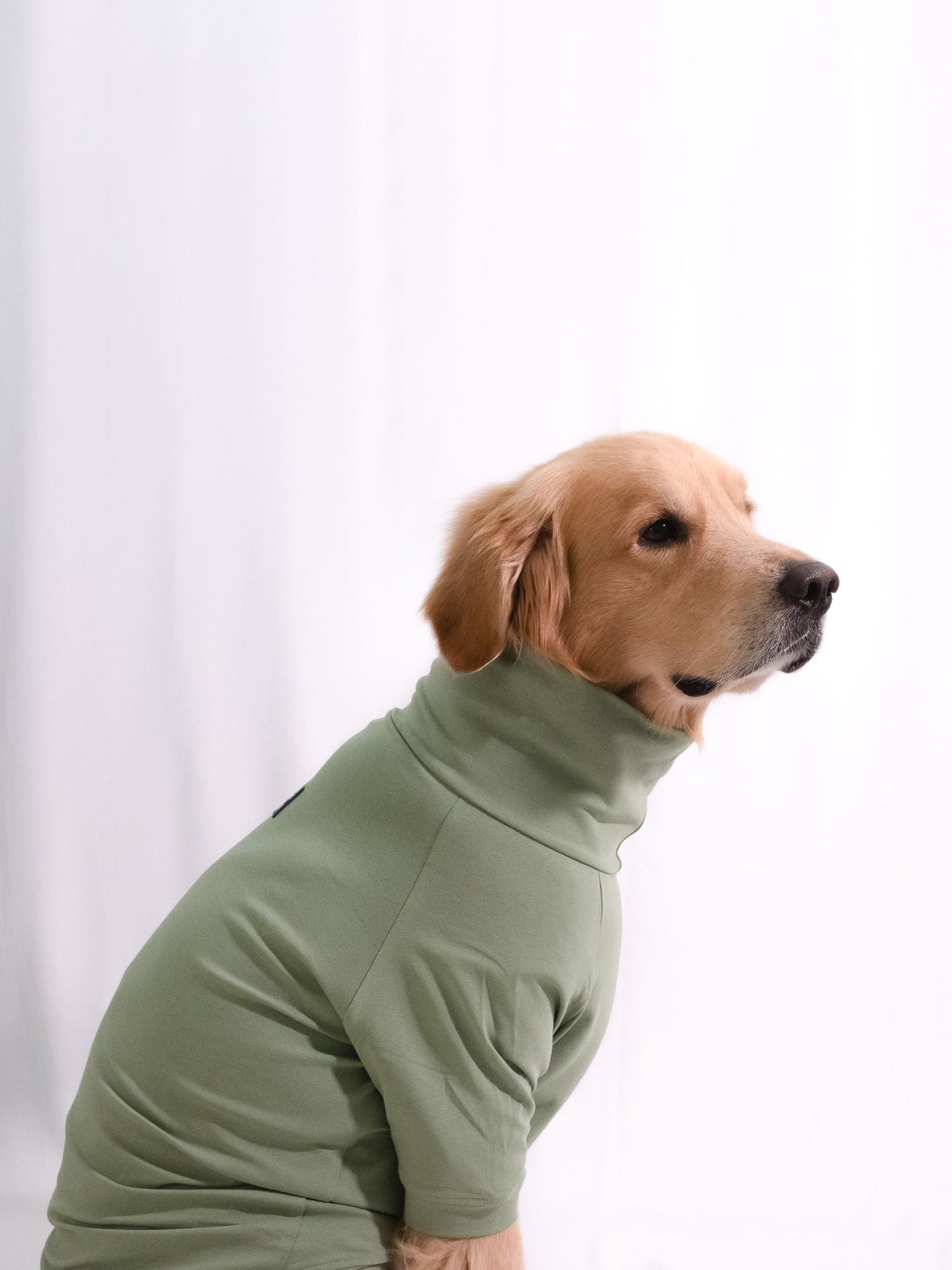 Meadow Green Turtleneck T-shirt