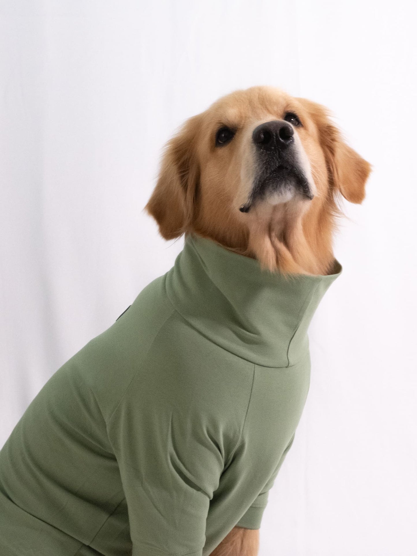 Meadow Green Turtleneck T-shirt