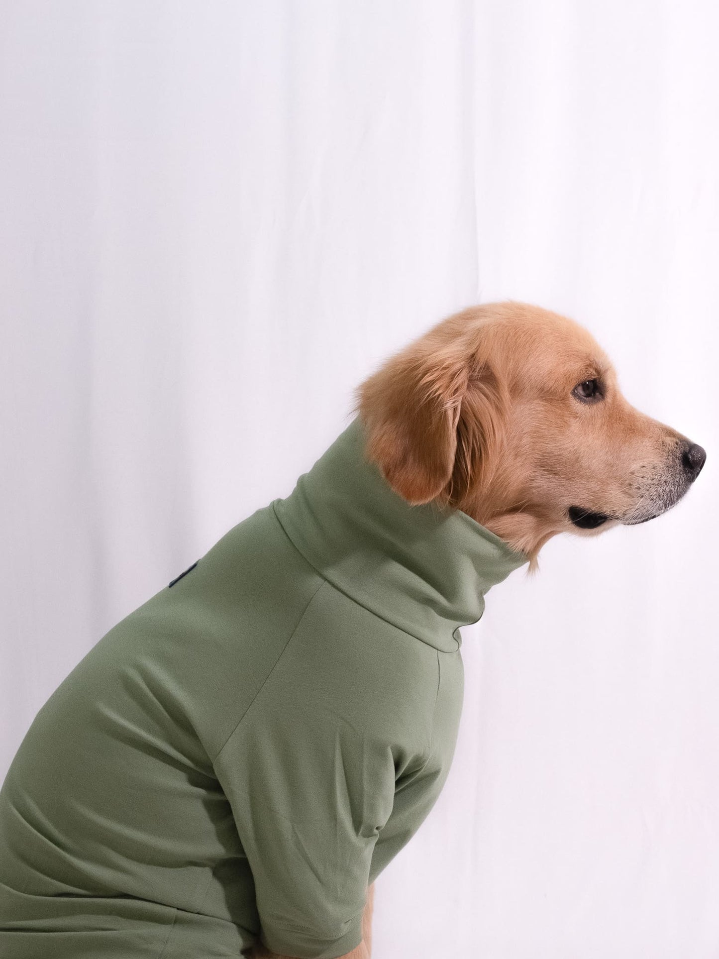 Meadow Green Turtleneck T-shirt