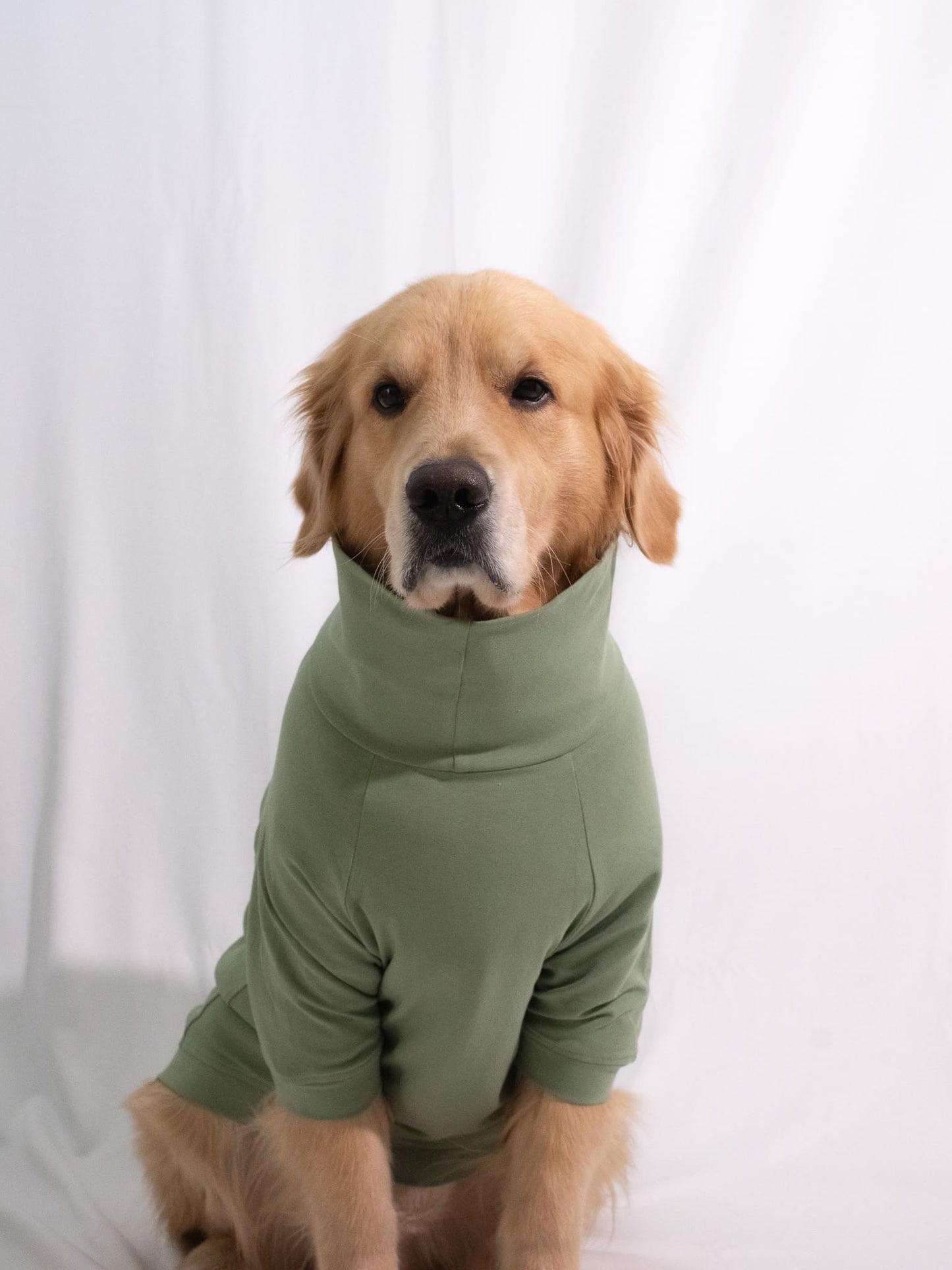 Meadow Green Turtleneck T-shirt