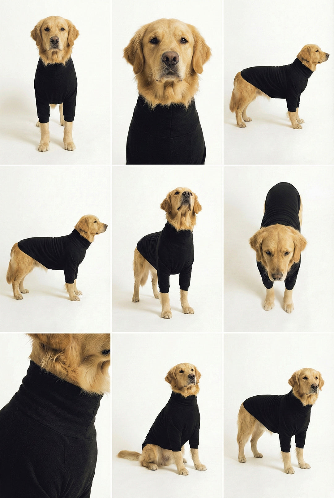 Midnight Black Long Neck T-shirt