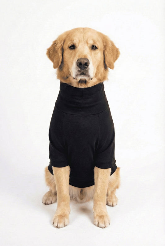 Golden retriever in Midnight Black turtleneck t-shirt, showcasing stylish cotton-spandex blend, perfect for comfortable and stretchable pet wear.