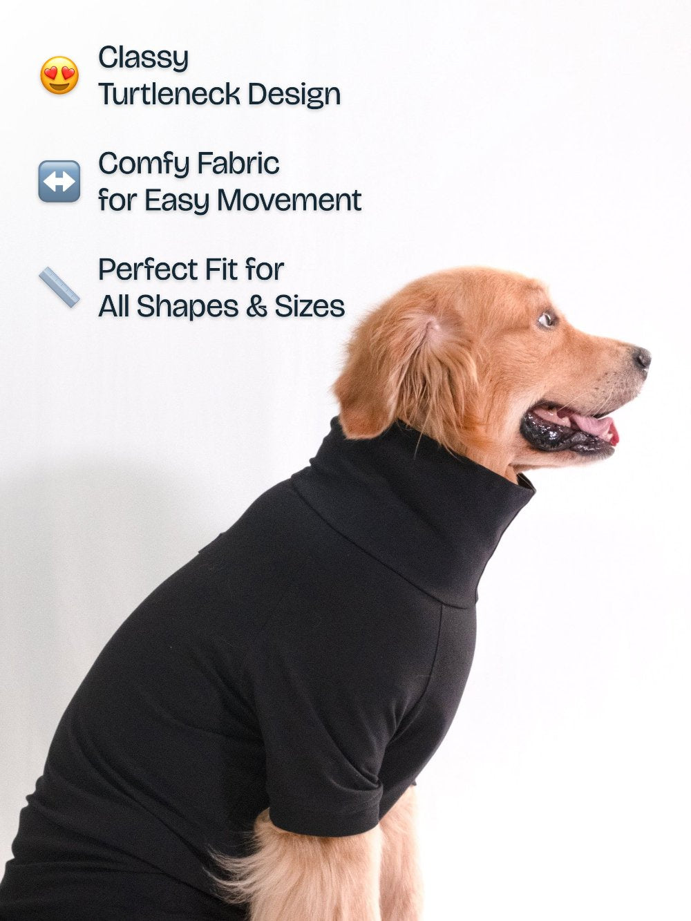 Golden retriever wearing a midnight black cotton stretchable turtleneck t-shirt, exuding stylish sophistication and comfort.