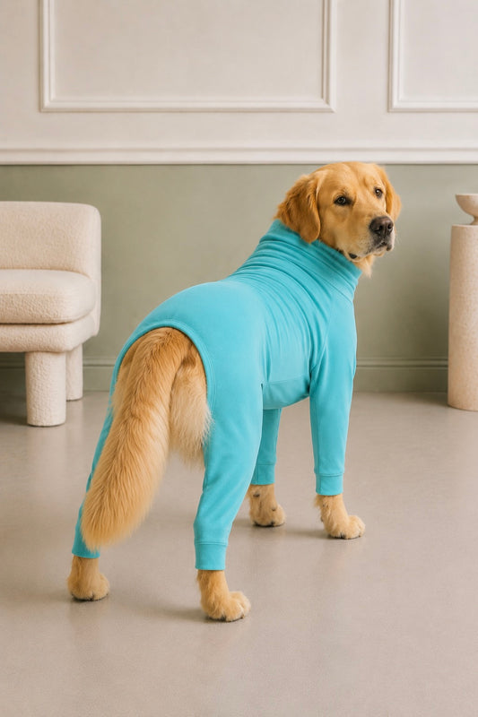 Icy Aqua Four-Leg Onesie