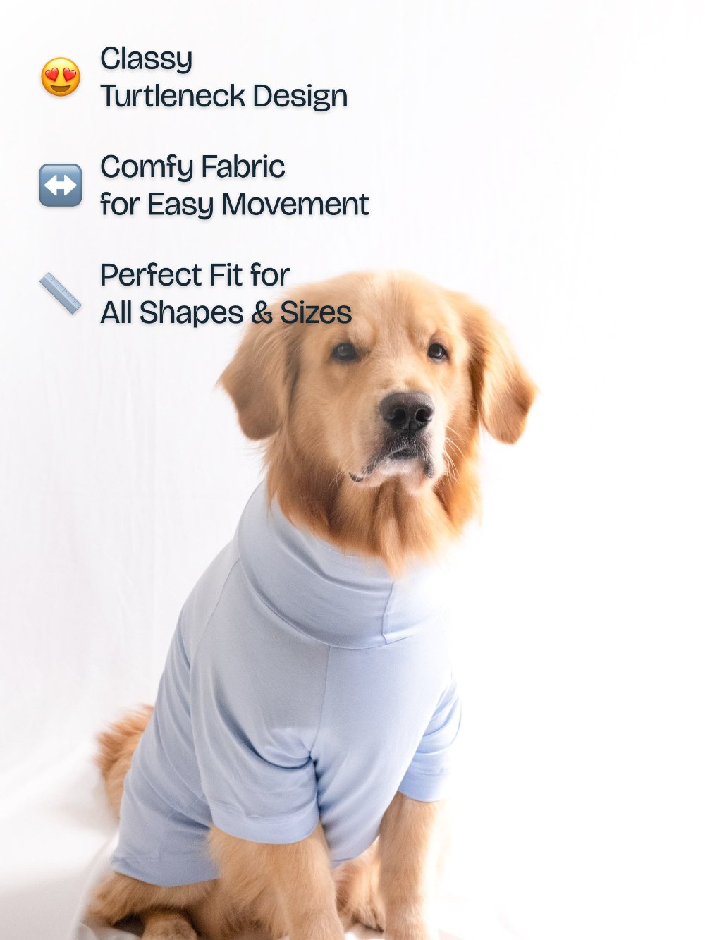 Golden retriever wearing a ocean blue, cotton-spandex turtleneck t-shirt, showcasing its comfort and stretchable fit.