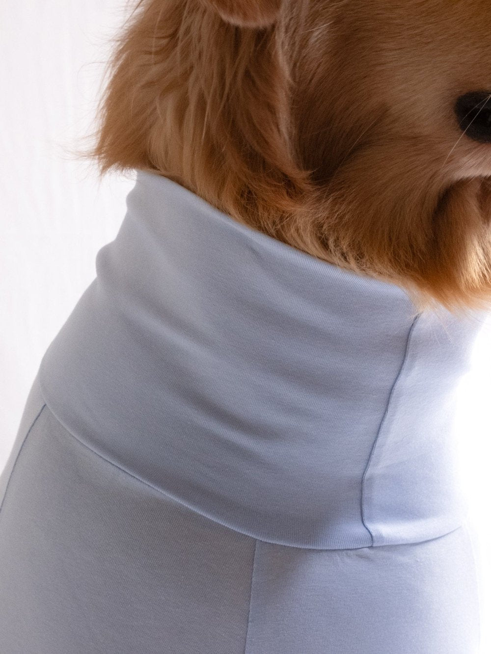 Golden retriever in ocean blue turtleneck t-shirt, showcasing stylish cotton-spandex blend, perfect for comfortable and stretchable pet wear.