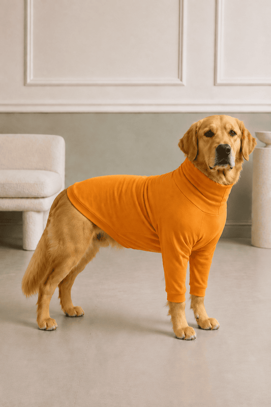 Sunset Orange Long Neck T-shirt