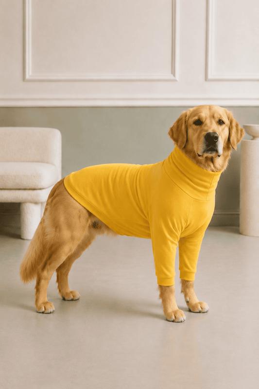Sunshine Yellow Long Neck T-shirt