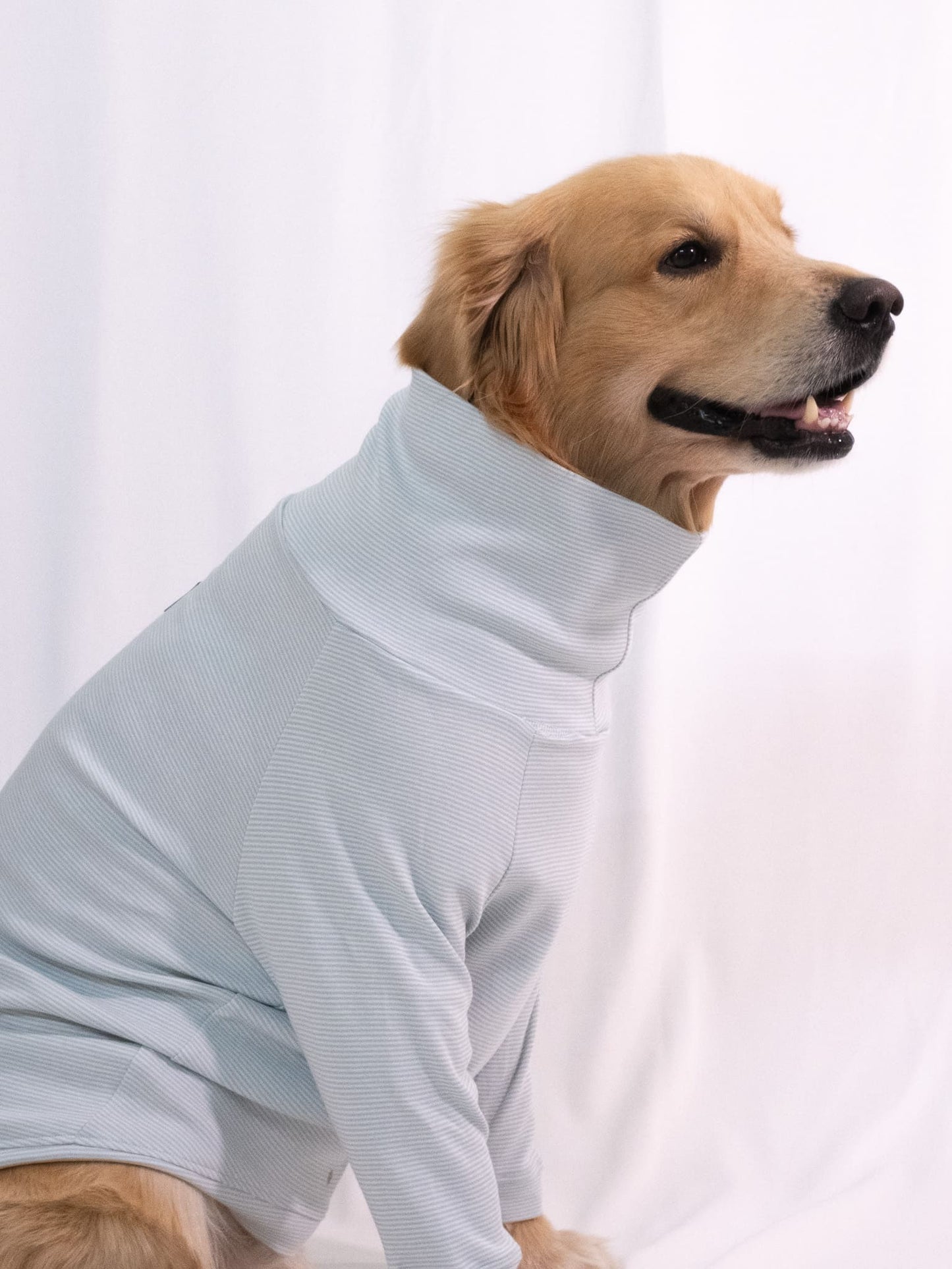 Serene Teal Long Sleeve Turtleneck
