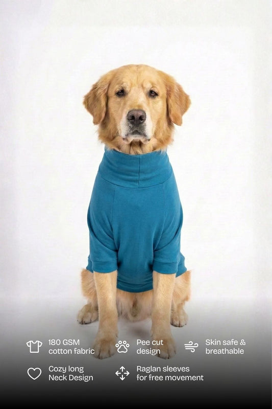 Sky Blue Long Neck T-shirt