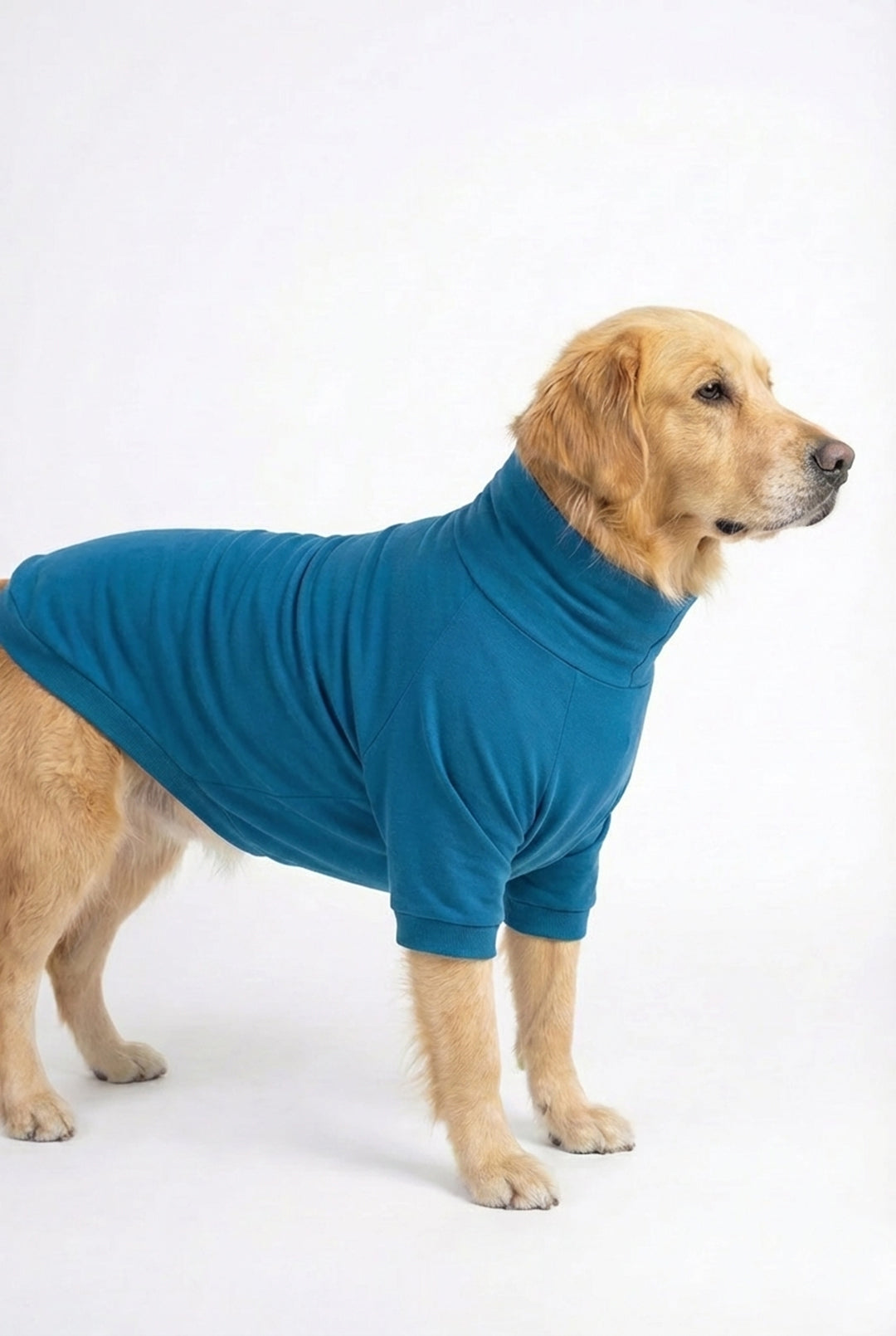 Sky Blue Long Neck T-shirt for Dogs and Cats
