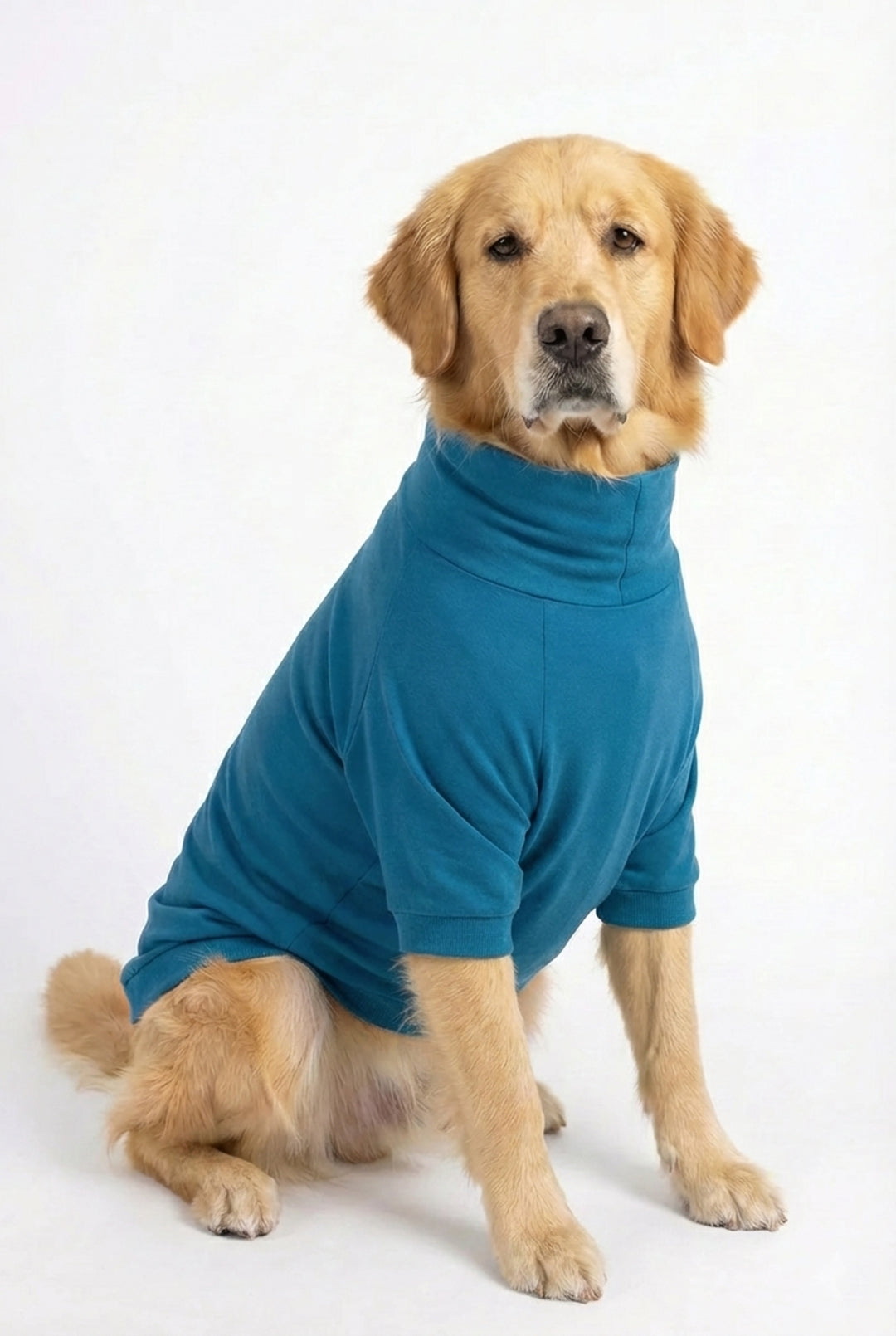 Sky Blue Long Neck T-shirt for Dogs and Cats