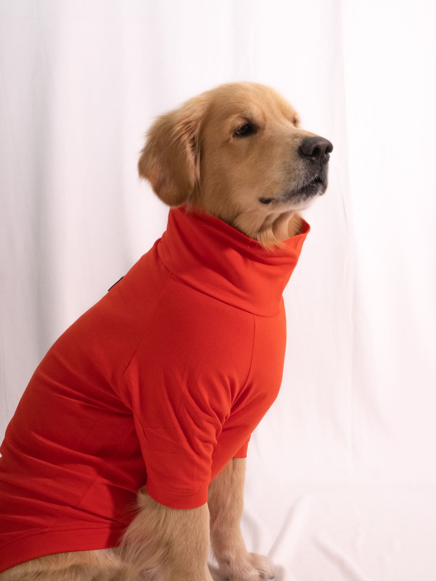 Spice Red Turtleneck T-shirt