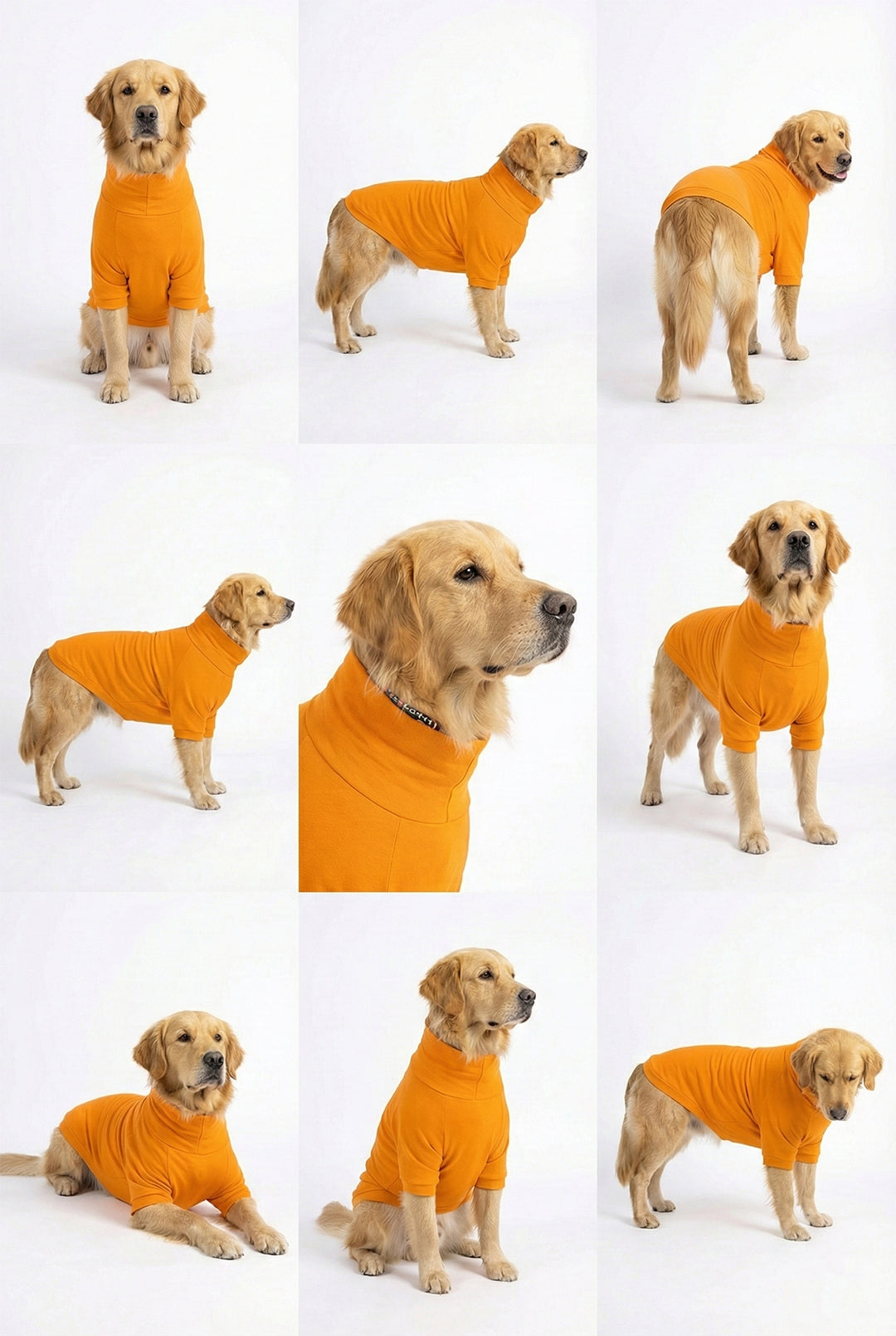 Sunset Orange Long Neck T-shirt - image 6