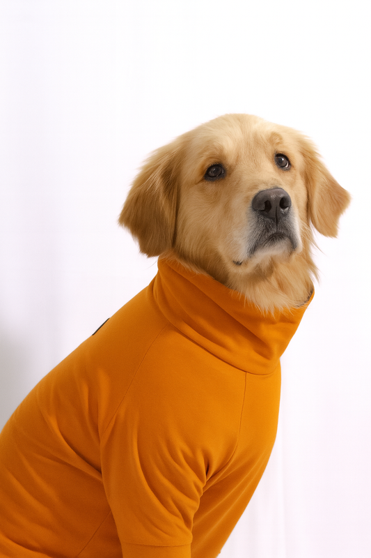 Sunset Orange Long Neck T-shirt for Dogs and Cats