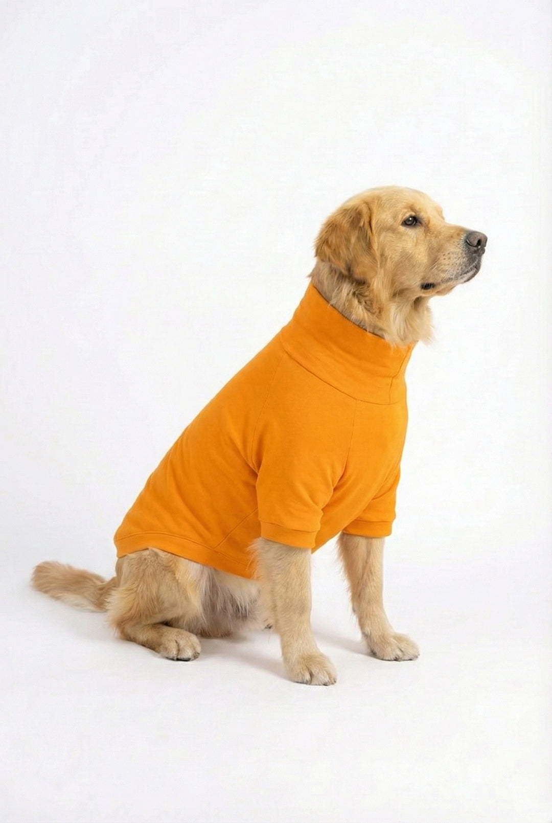 Sunset Orange Long Neck T-shirt for Dogs and Cats
