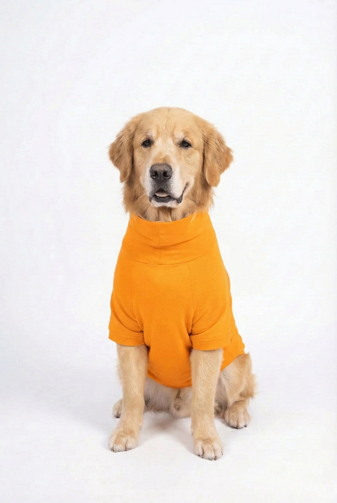 Sunset Orange Long Neck T-shirt for Dogs and Cats