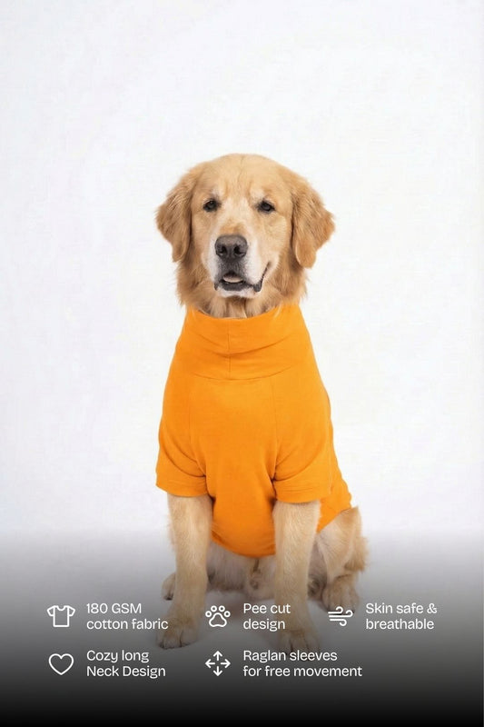 Sunset Orange Long Neck T-shirt