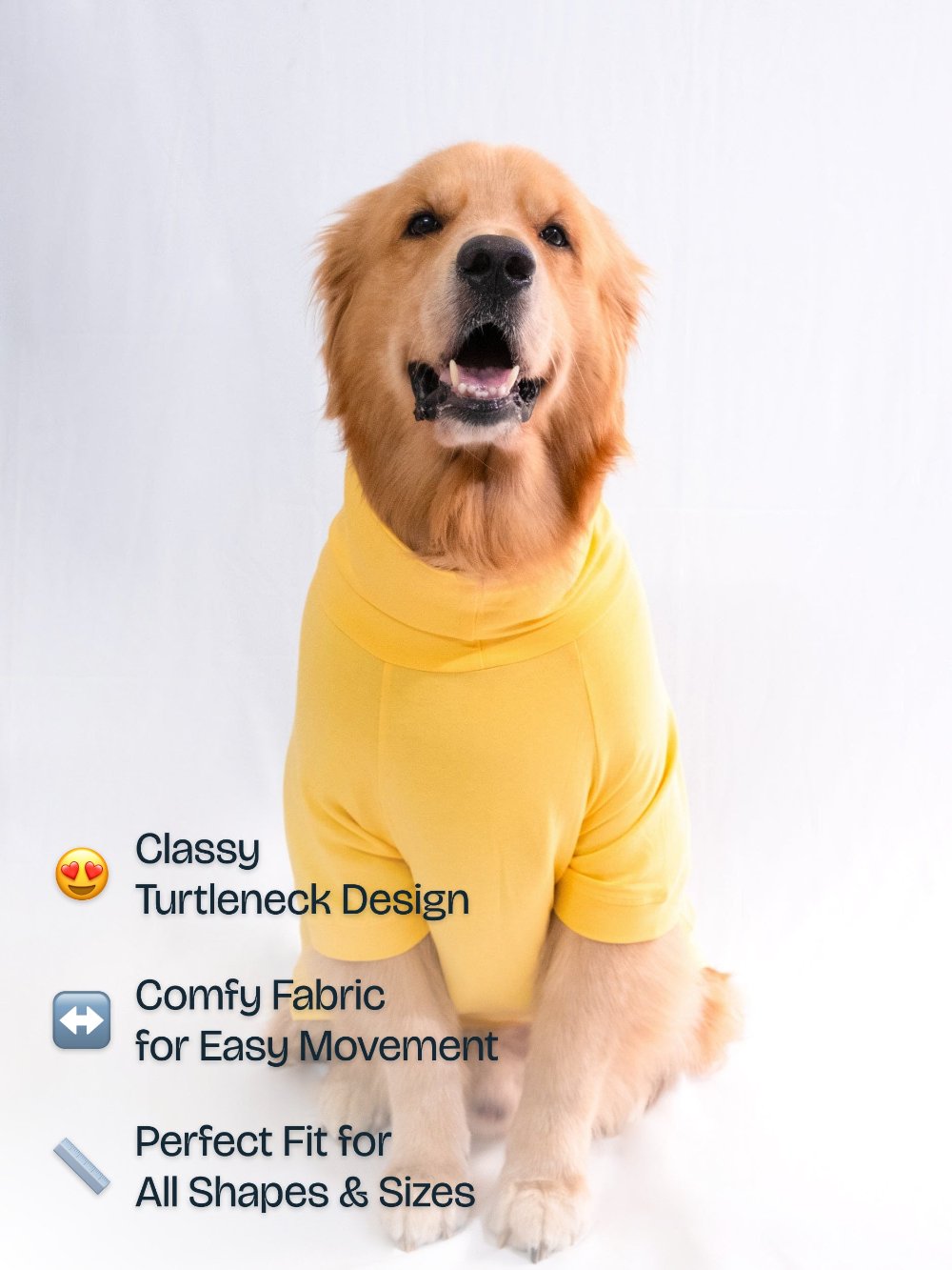 Golden retriever wearing a stylish sunshine yellow turtleneck t-shirt made from cotton-spandex blend, highlighting its stretchable and comfy fit.