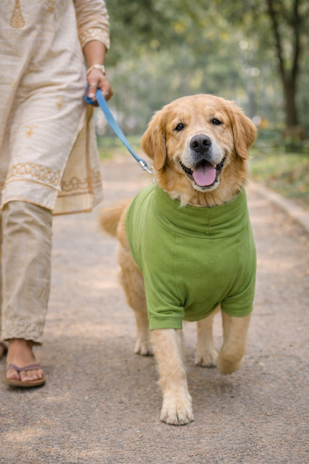 Bamboo Green Long Neck T-shirt for Dogs and Cats