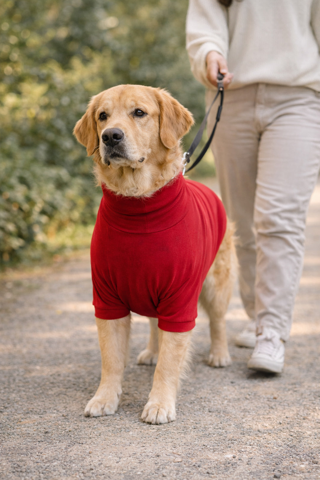 Cherry Red Long Neck T-shirt for Dogs and Cats