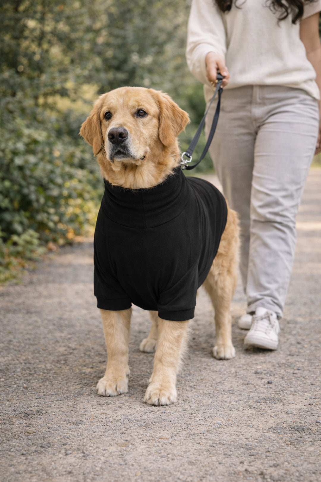 Midnight Black Long Neck T-shirt for Dogs and Cats