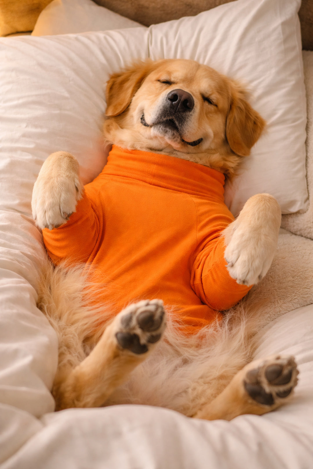 Sunset Orange Long Neck T-shirt for Dogs and Cats