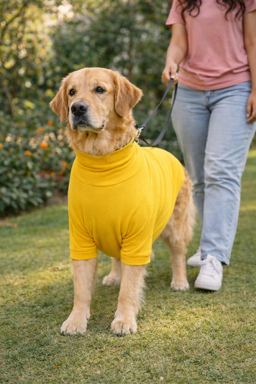 Sunshine Yellow Long Neck T-shirt for Dogs and Cats